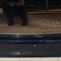 paraurti posteriore fiat tipo 2021