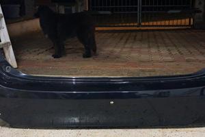 paraurti posteriore fiat tipo 2021