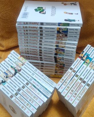 arrivare a te prima e seconda serie mang