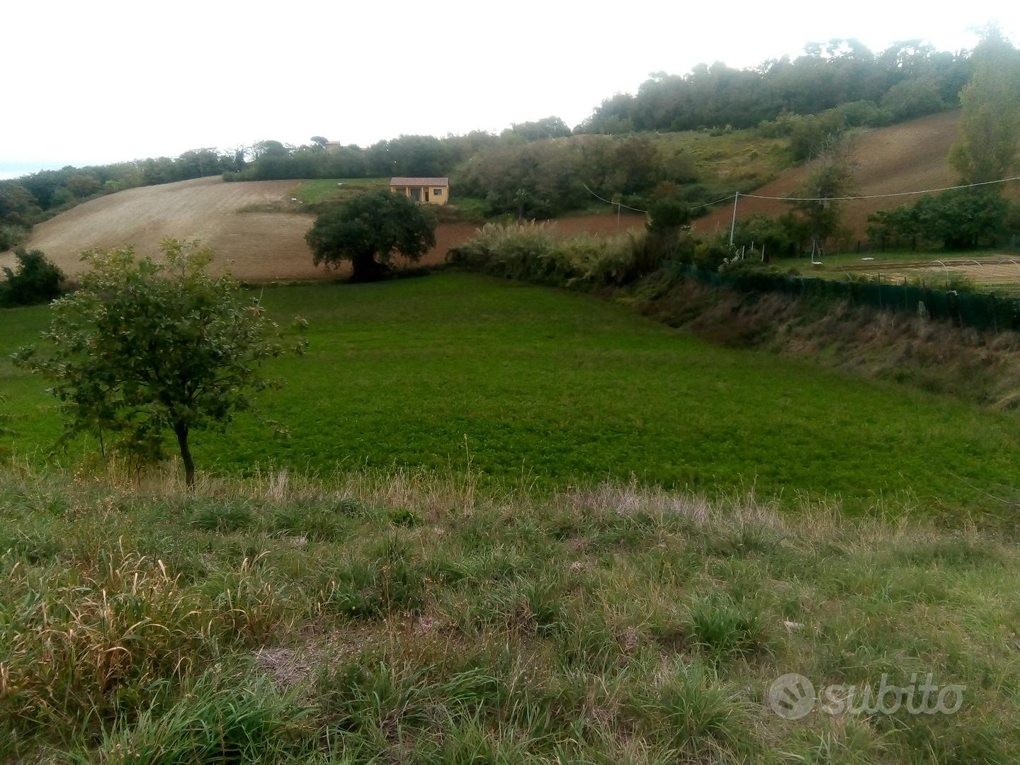 Terreno agricolo - Vista 2