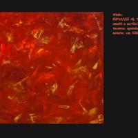 DIPINTI ASTRATTI ECONOMICI D'AUTORE