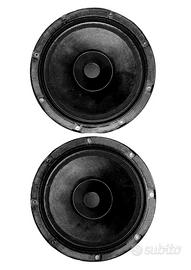 Altoparlante AD12100 /HP4 - Philips (coppia)