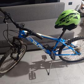 Bicicletta olmo