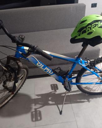 Bicicletta olmo