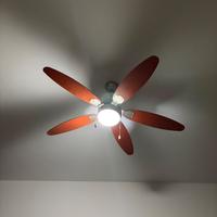 Ventilatore da soffitto con luce