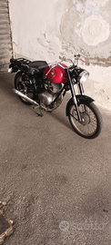 Gilera Giubileo 98 1959