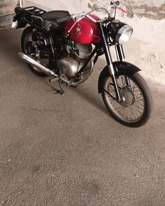 Gilera Giubileo 98 1959