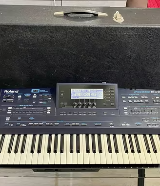 Roland EM-2000 arranger 61 tasti con custodia