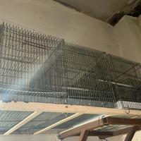 gabbie canarini/inseparabili/cocorite