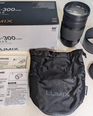 Panasonic Lumix G Vario 100-300 mm F4.0-5.6 II AF 