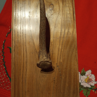 Corno osso trofeo pannello legno soprammobile