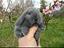 Immagine 3
