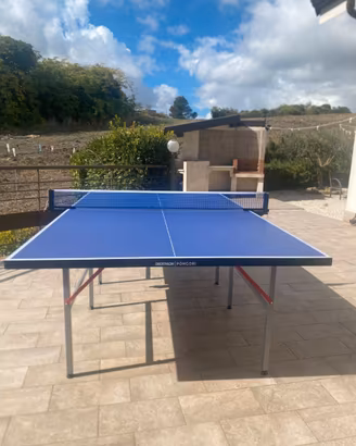 Tavolo da ping pong