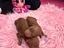 Immagine 5