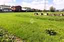 ter-agricolo-a-monselice