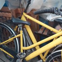 Coppia di biciclette