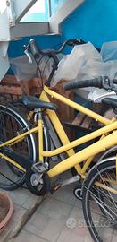 Coppia di biciclette