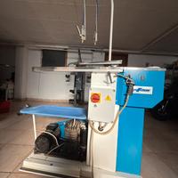 Smacchiatrice professionale