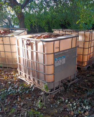 Cisterna IBC 1.000 litri in gabbia metallica