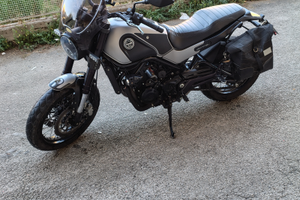 Benelli Leoncino 500 Trail