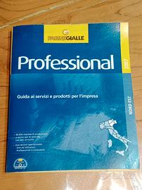 Pagine gialle professional 2007 Nord Est