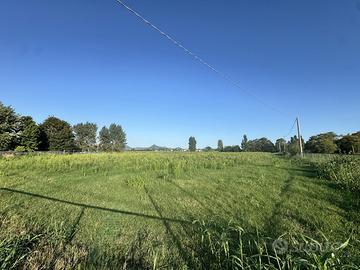 Terreno Agricolo Noventa Vicentina