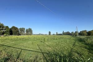 Terreno Agricolo Noventa Vicentina