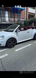 New beetle