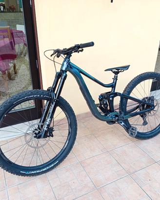 Bicicletta Downhill 