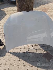 cofano. Ant golf 6