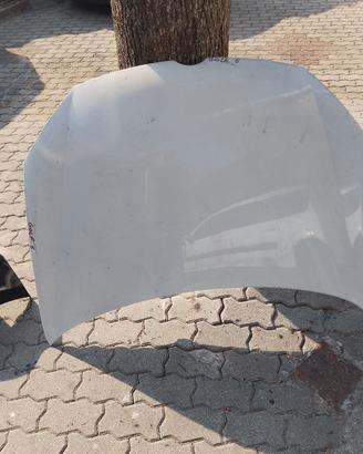 cofano. Ant golf 6