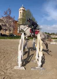 Cavallo salto
