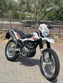 Beta Alp 4.0