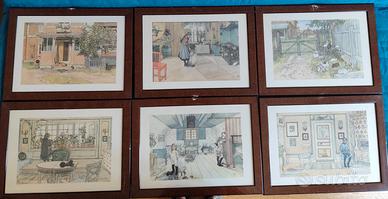 6 stampe a colori in cornice di legno
