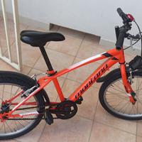 Bicicletta taglia 20