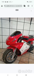 Minimoto