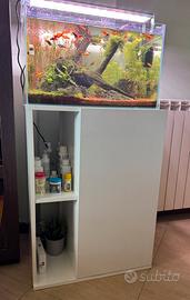 Acquario completo 60 L con mobile