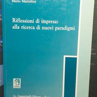 Riflessioni di impresa: ricercadi nuovi paradigmi