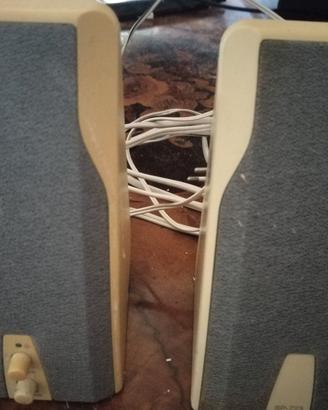 Casse per computer portatile 