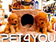 Immagine 10