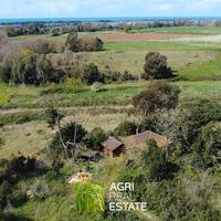 Sabaudia (LT) - Terreno 4 HA e fabbricato | TR399