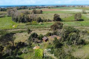 Sabaudia (LT) - Terreno 4 HA e fabbricato | TR399