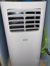 Climatizzatore Argo Swan Evo