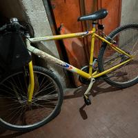 Bicicletta
