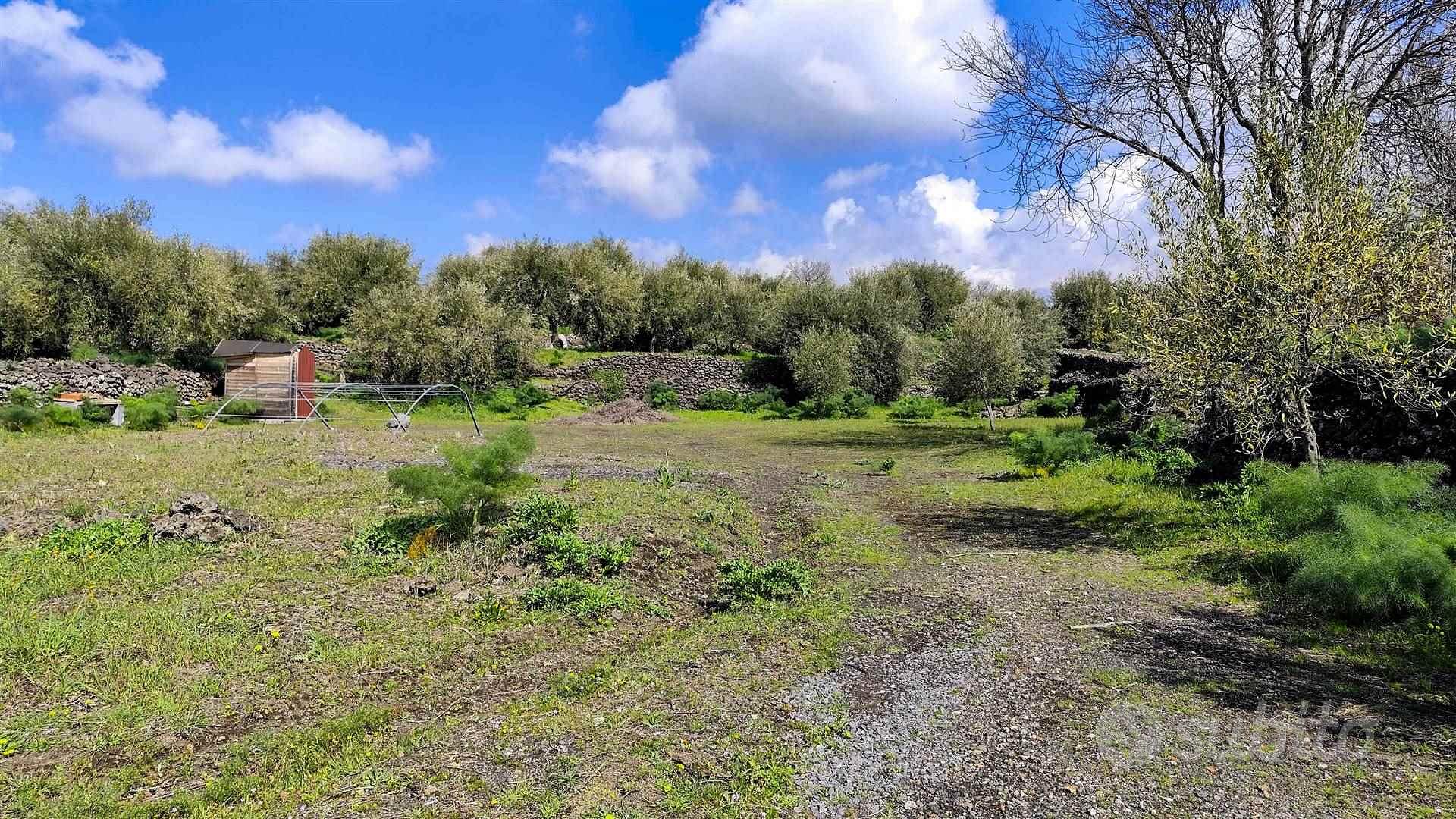 Rif.FP8| terreno agricolo belpasso - View 3