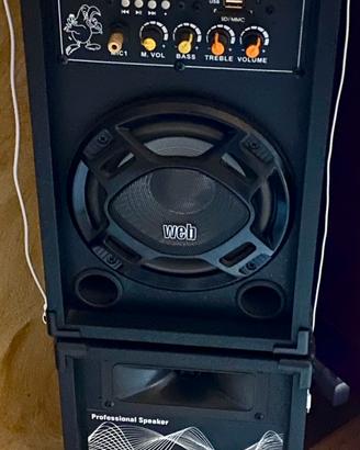 Casse audio