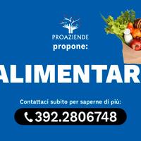 Alimentari pasta fresca gastronomia Rif. PR740