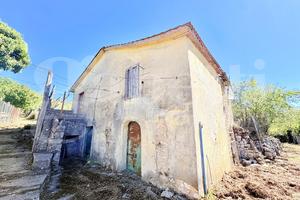 Rustico/Casale/Corte Carpineto Romano