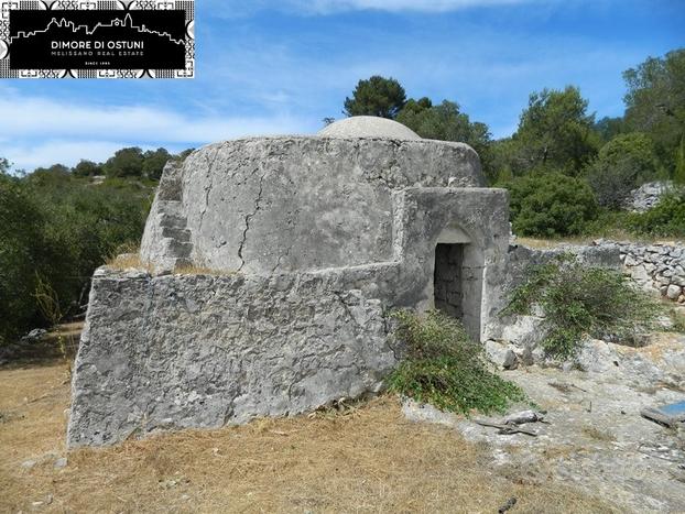 LAMIE PANORAMICHE in VALLE D'ITRIA - TERRENO 1Ha