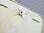 Immagine 26